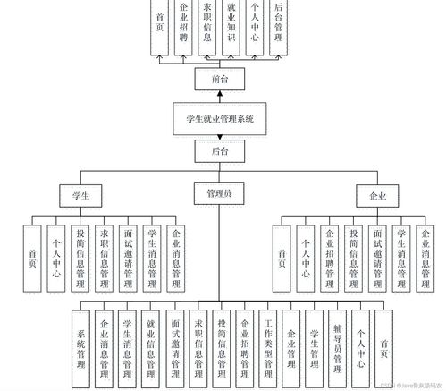 课程设计 基于springboot vue的学生就业管理系统的设计与实现 源码 lw 包运行